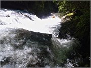 NForkFB 28